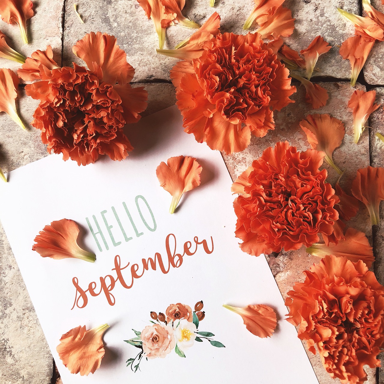Is September Set to Stir Up Trouble? 03/09/2024