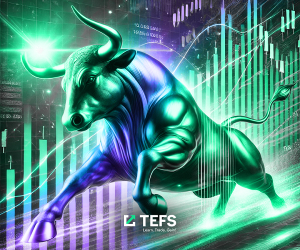 Stocks decline on PPI report 13/12/2024