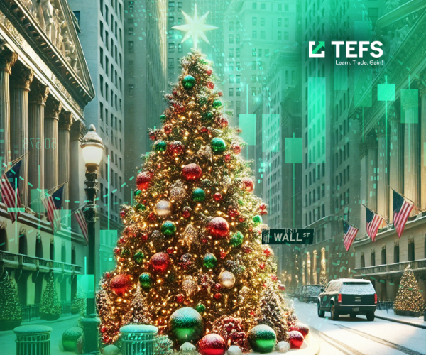 Megacaps lifted the market 24/12/2024
