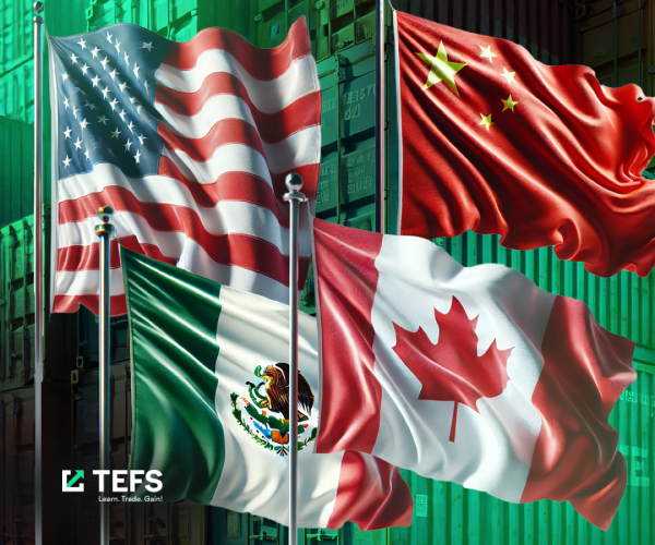 Markets decline, Trade war escalates 03/02/2025